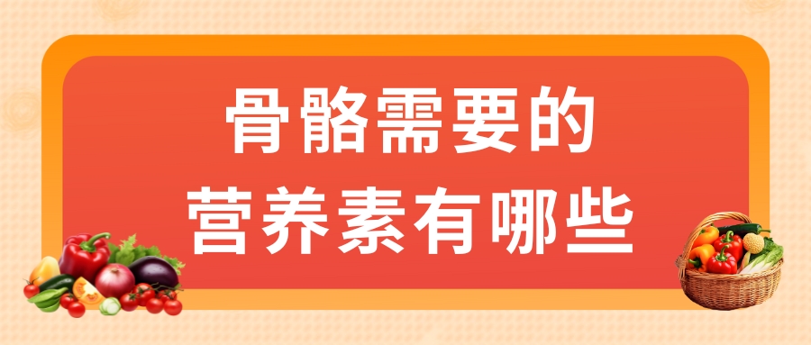 骨骼需要的营养素有哪些？